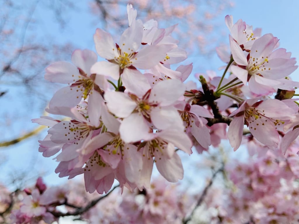 三神峯公園