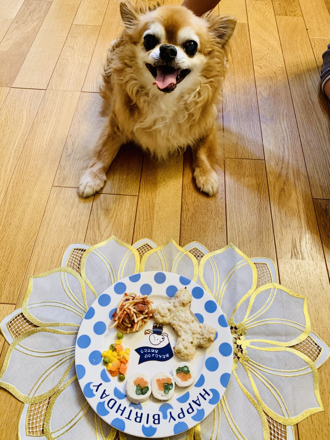 愛犬のお誕生日