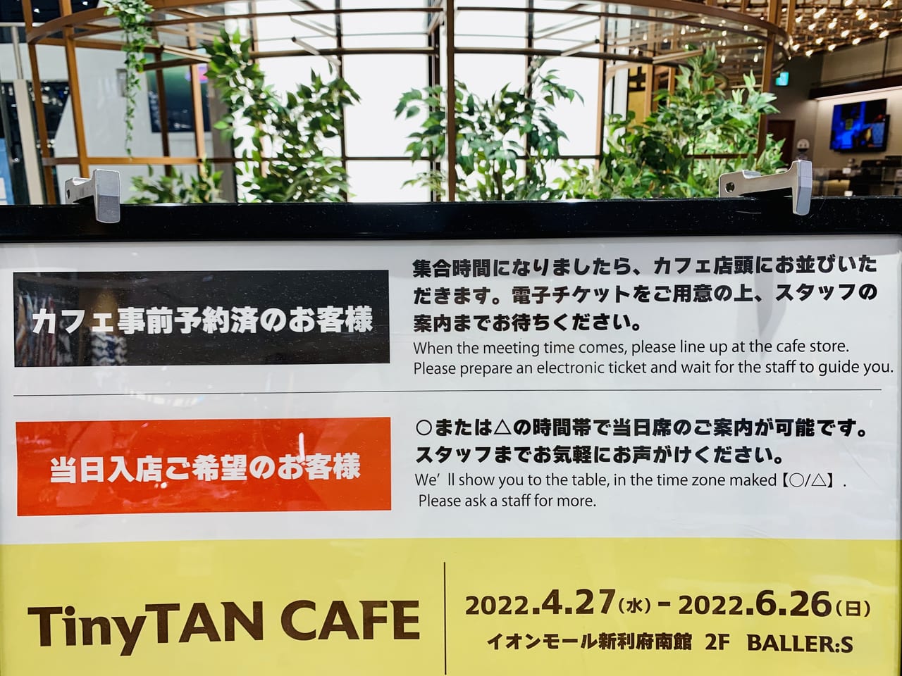 TinyTAN CAFE