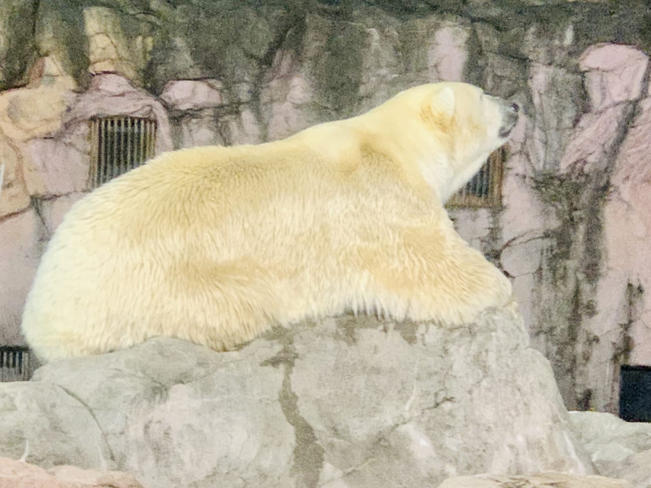 八木山動物公園 フジサキの杜