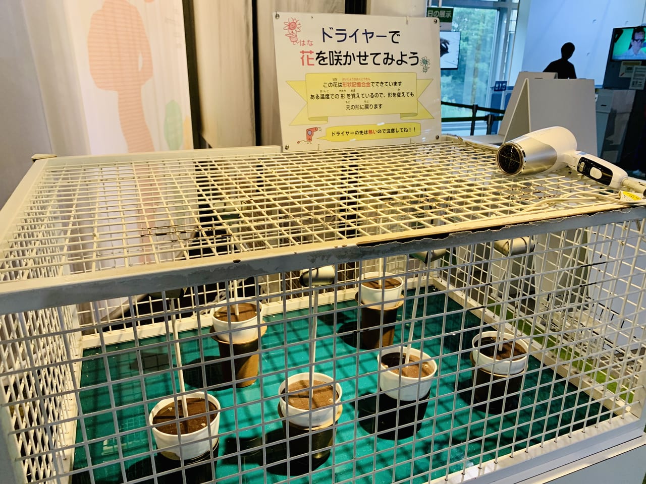 科学館