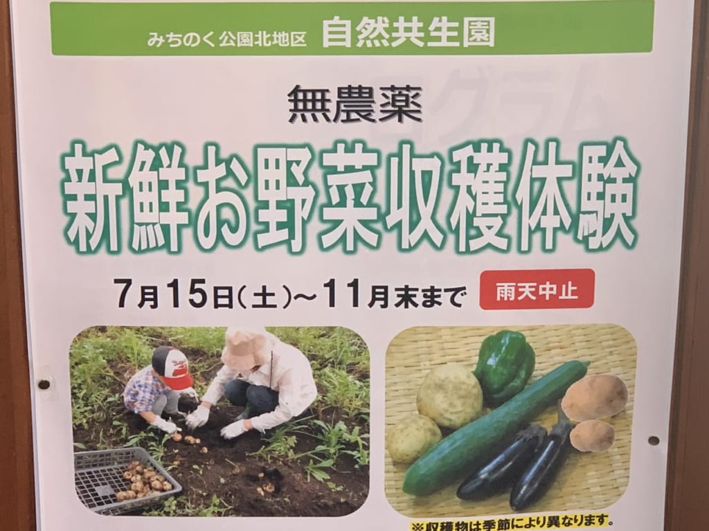 自然共生園　新鮮お野菜収穫体験