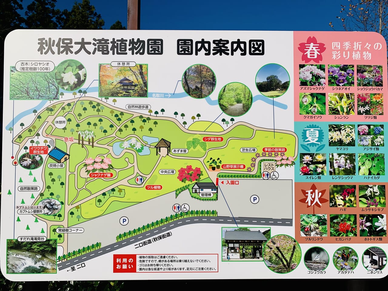 秋保大滝植物園MAP