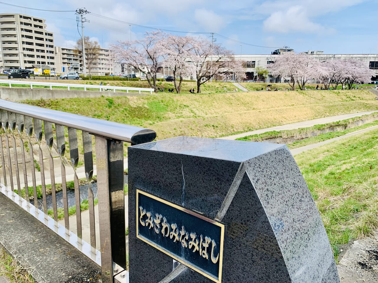 とみざわみなみばし