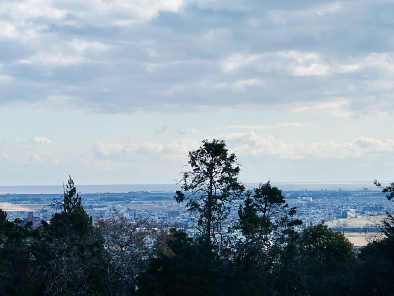 大年寺山公園から見た景観