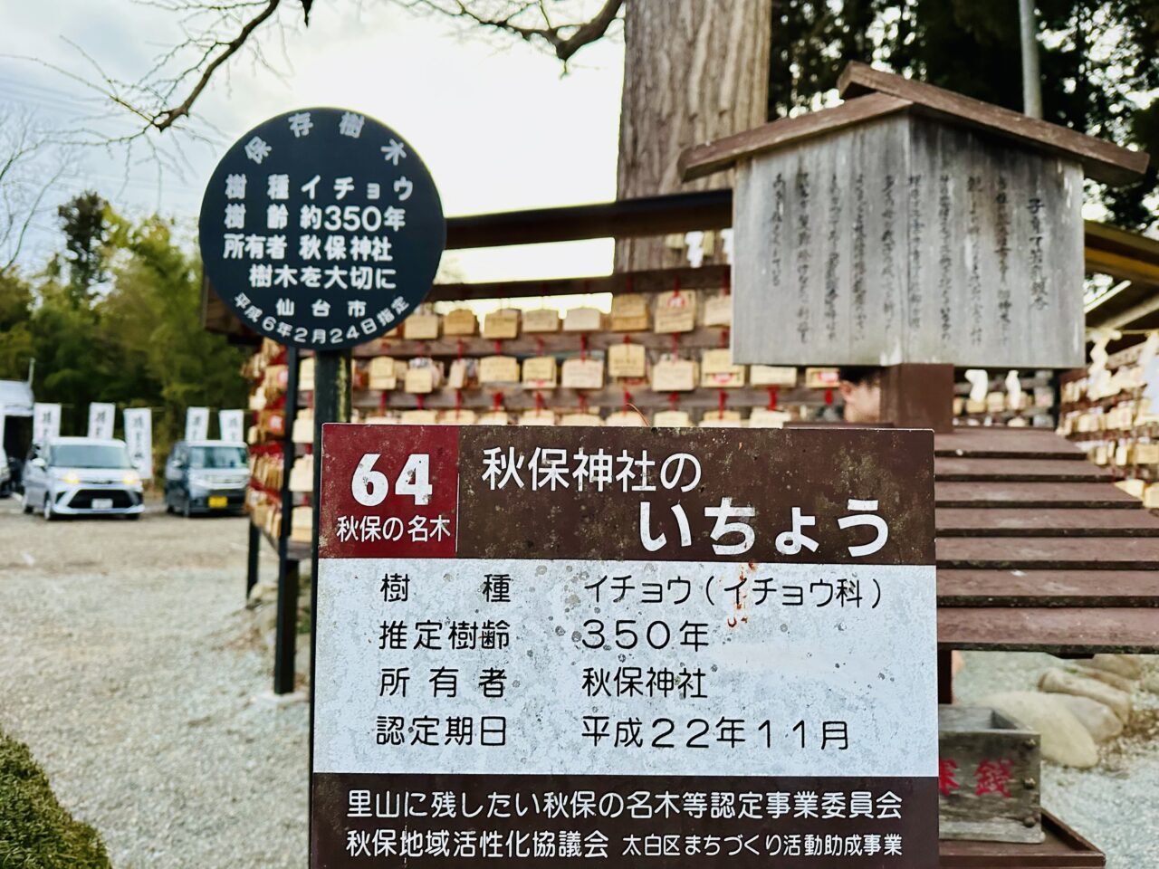 秋保神社のいちょう