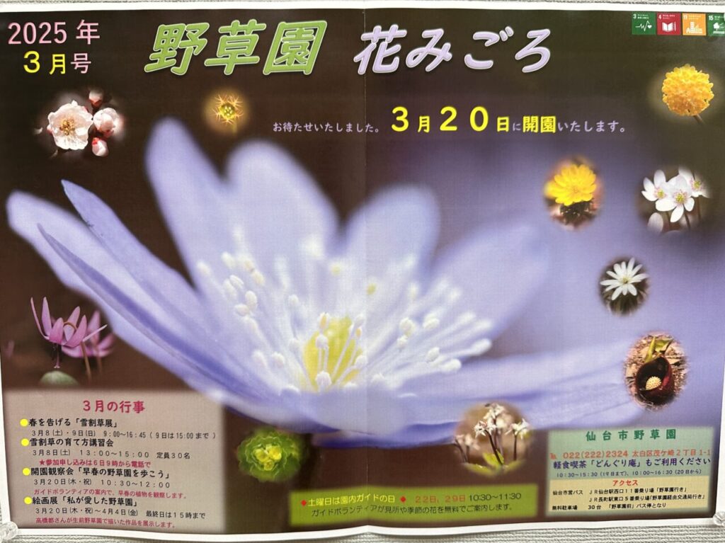 仙台市野草園