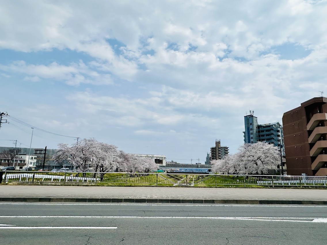 ざる川に架かる富沢南橋