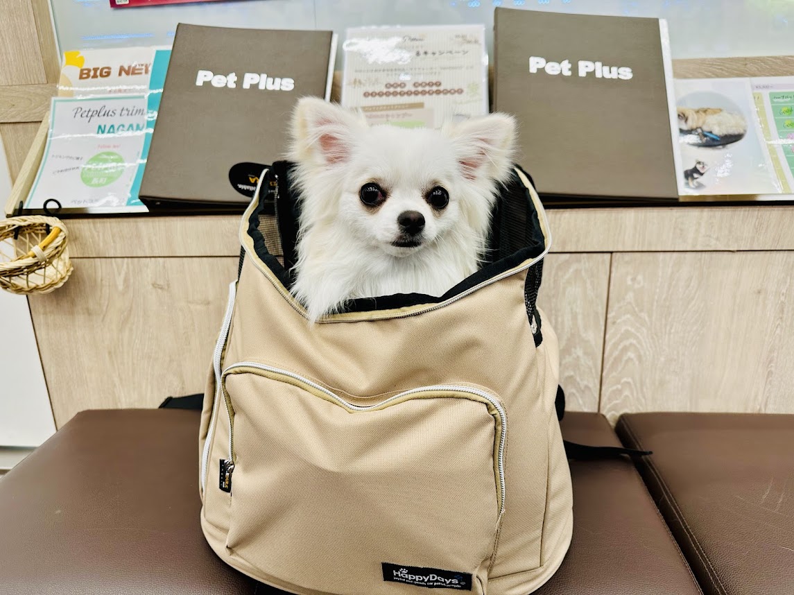 ペットプラス 長町店