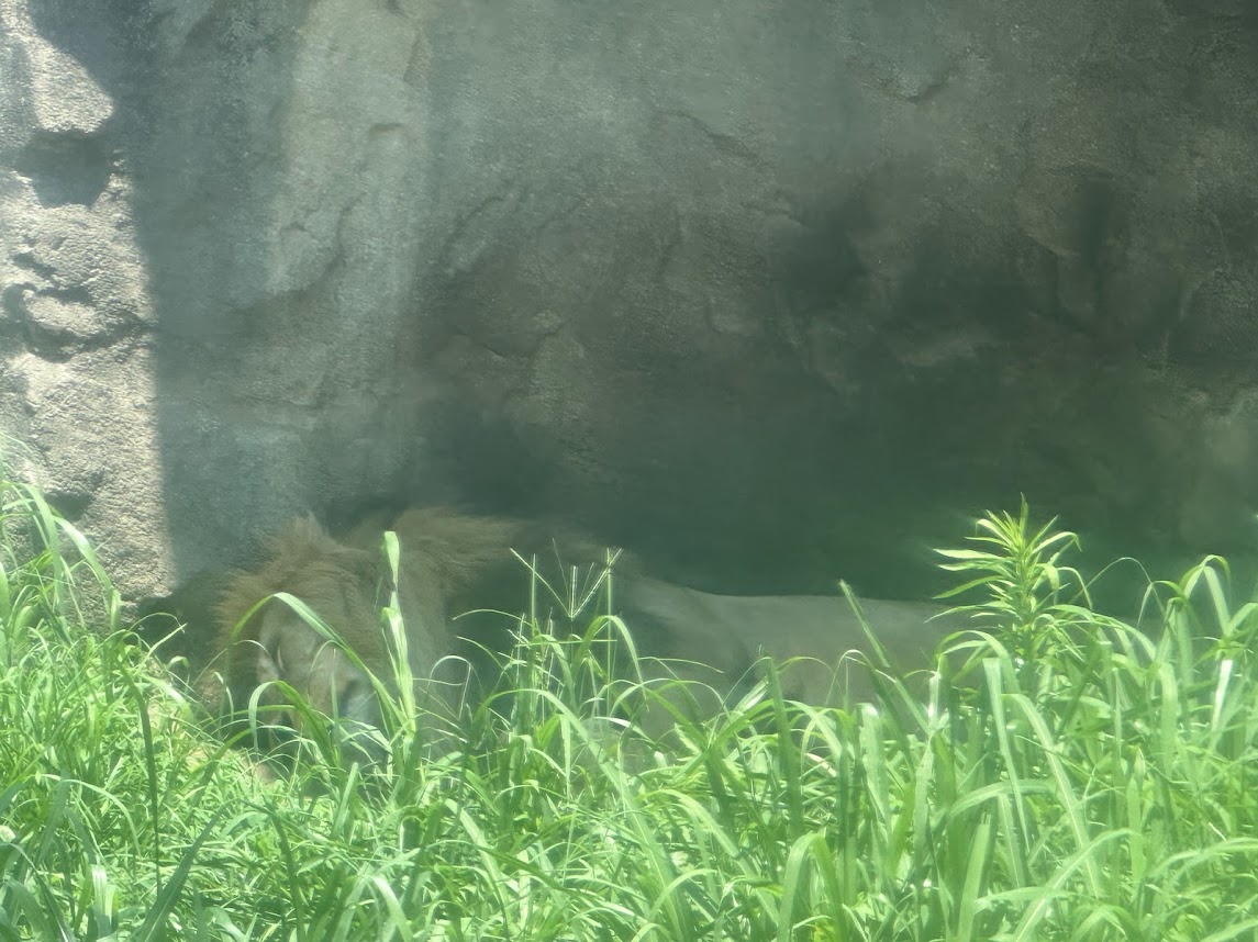 八木山動物公園