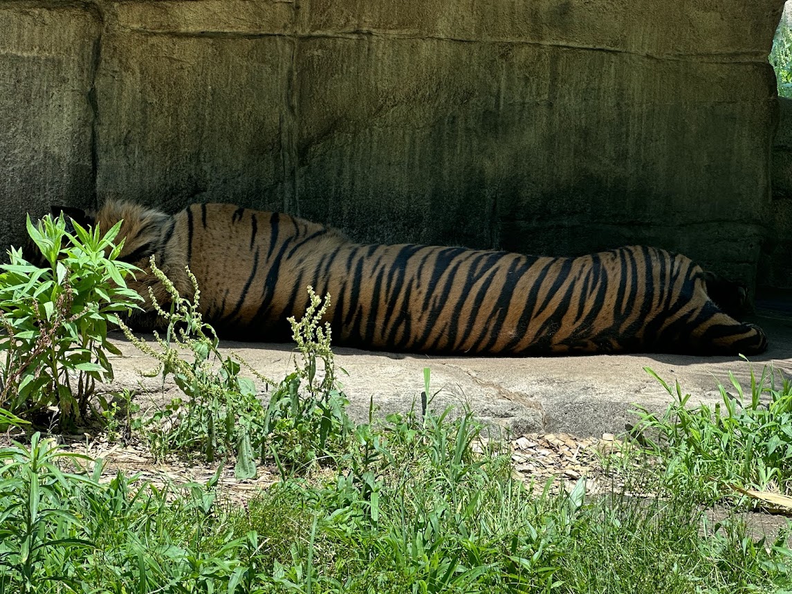 八木山動物公園