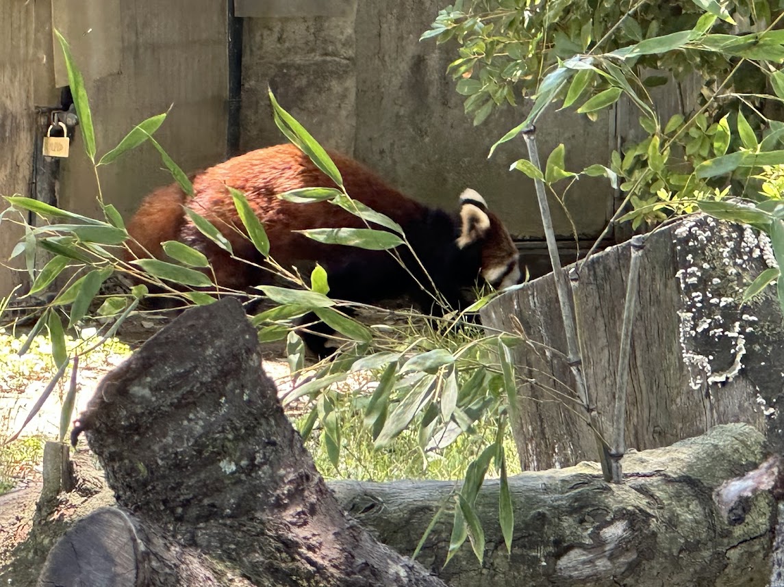 八木山動物公園