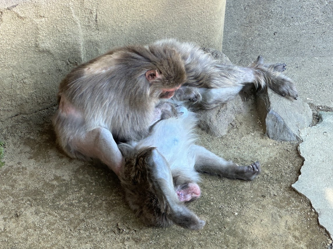 八木山動物公園