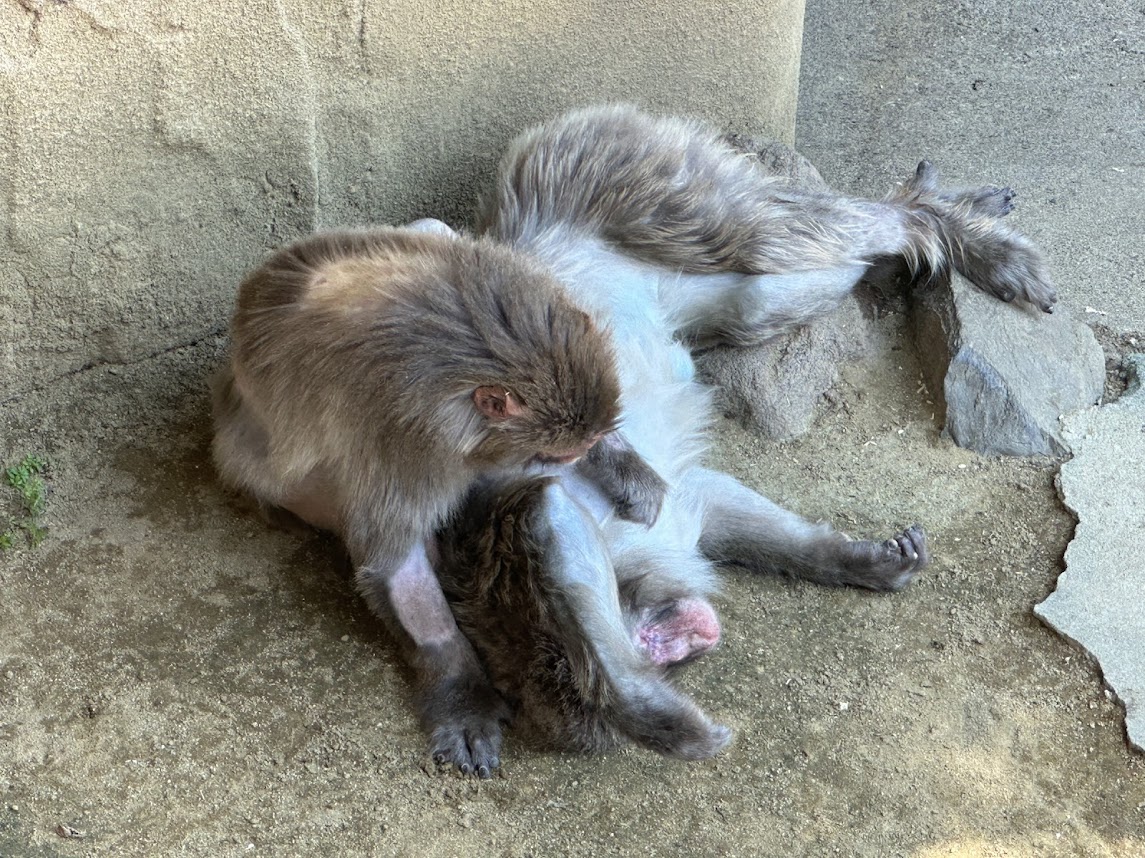 八木山動物公園