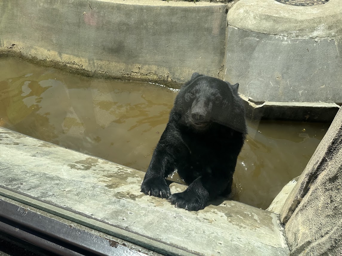 八木山動物公園