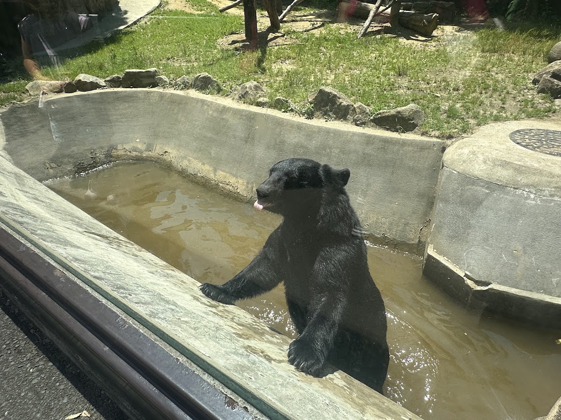 八木山動物公園