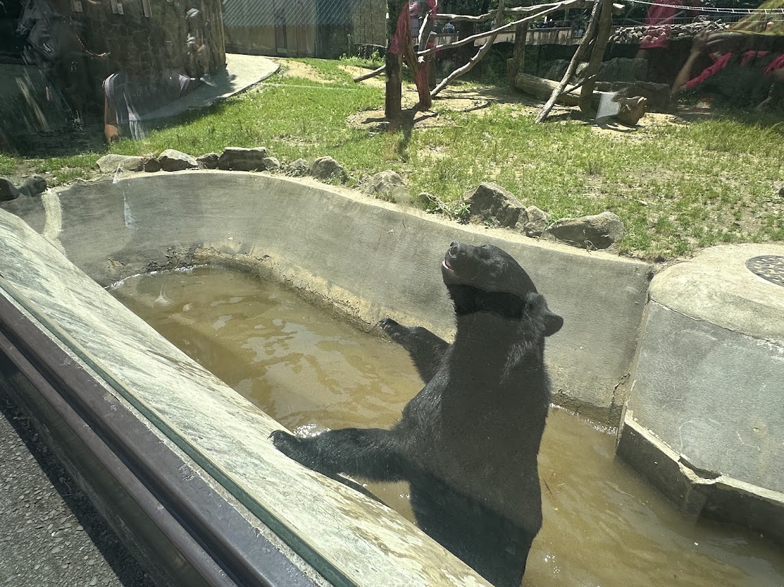 八木山動物公園