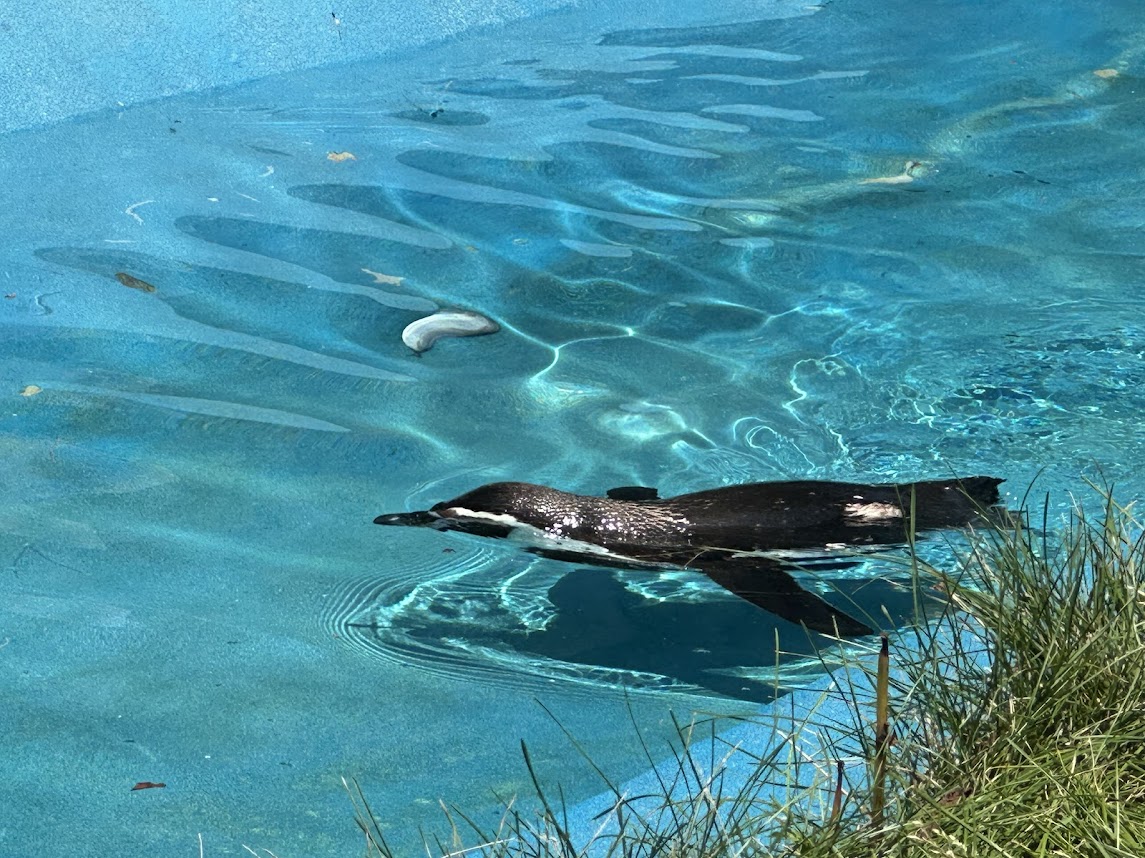 八木山動物公園
