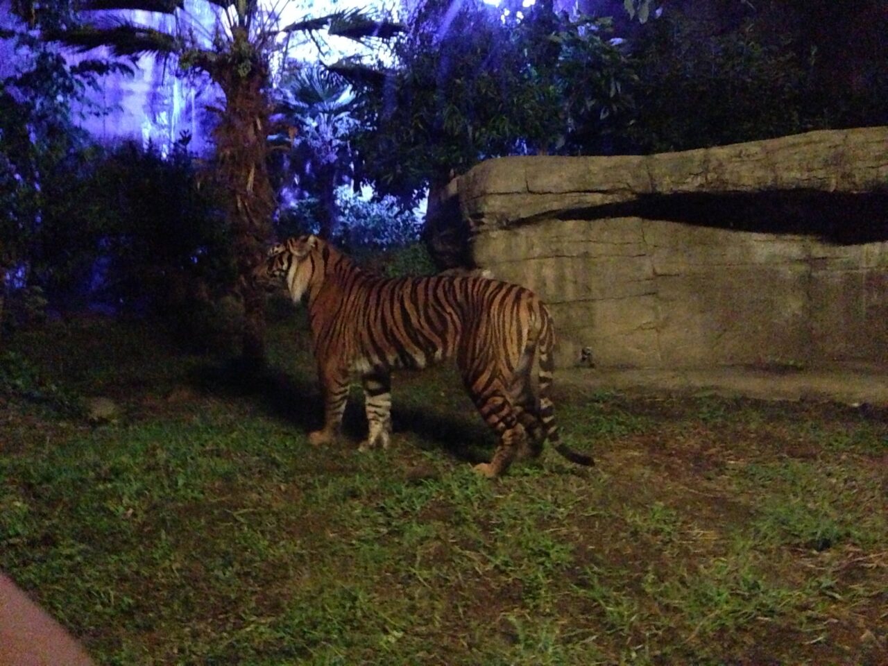 八木山動物公園