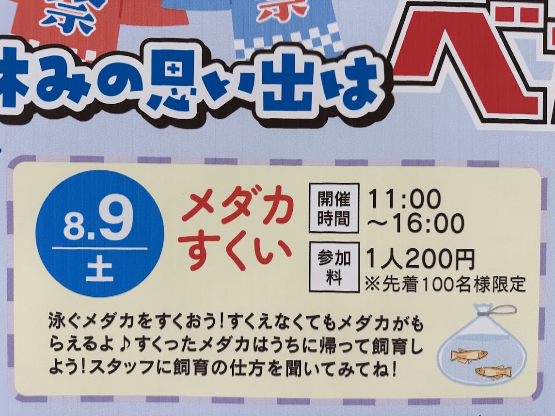 ベガロポリス仙台南イベント