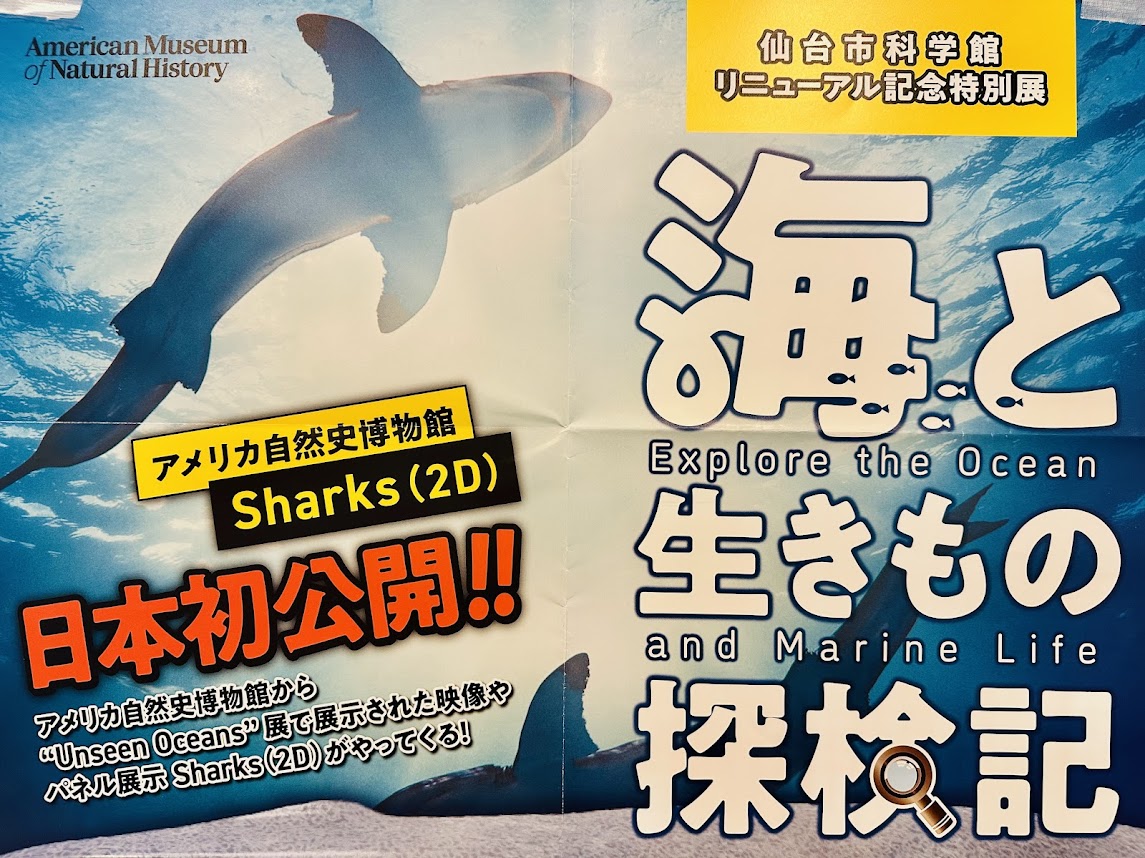 海と生きもの探検記
