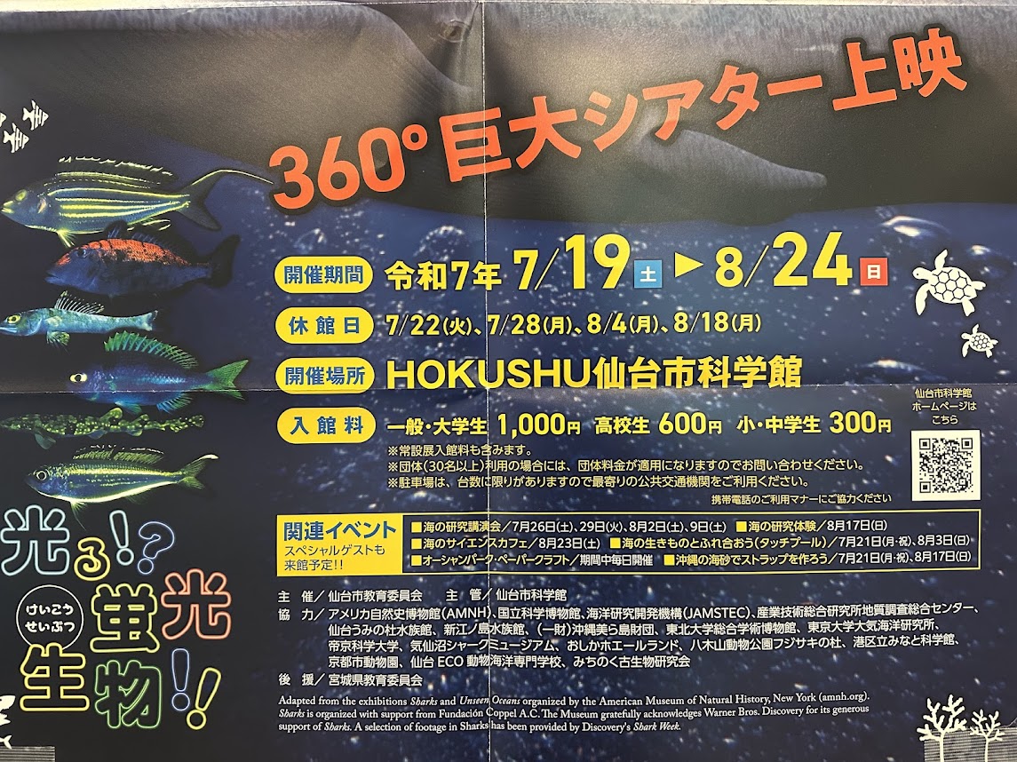 海と生きもの探検記