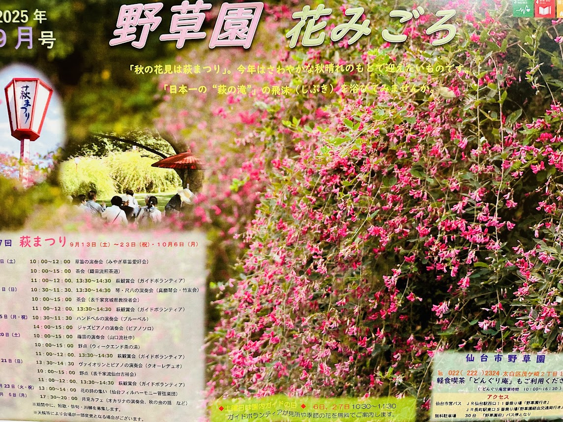 野草園花みごろ