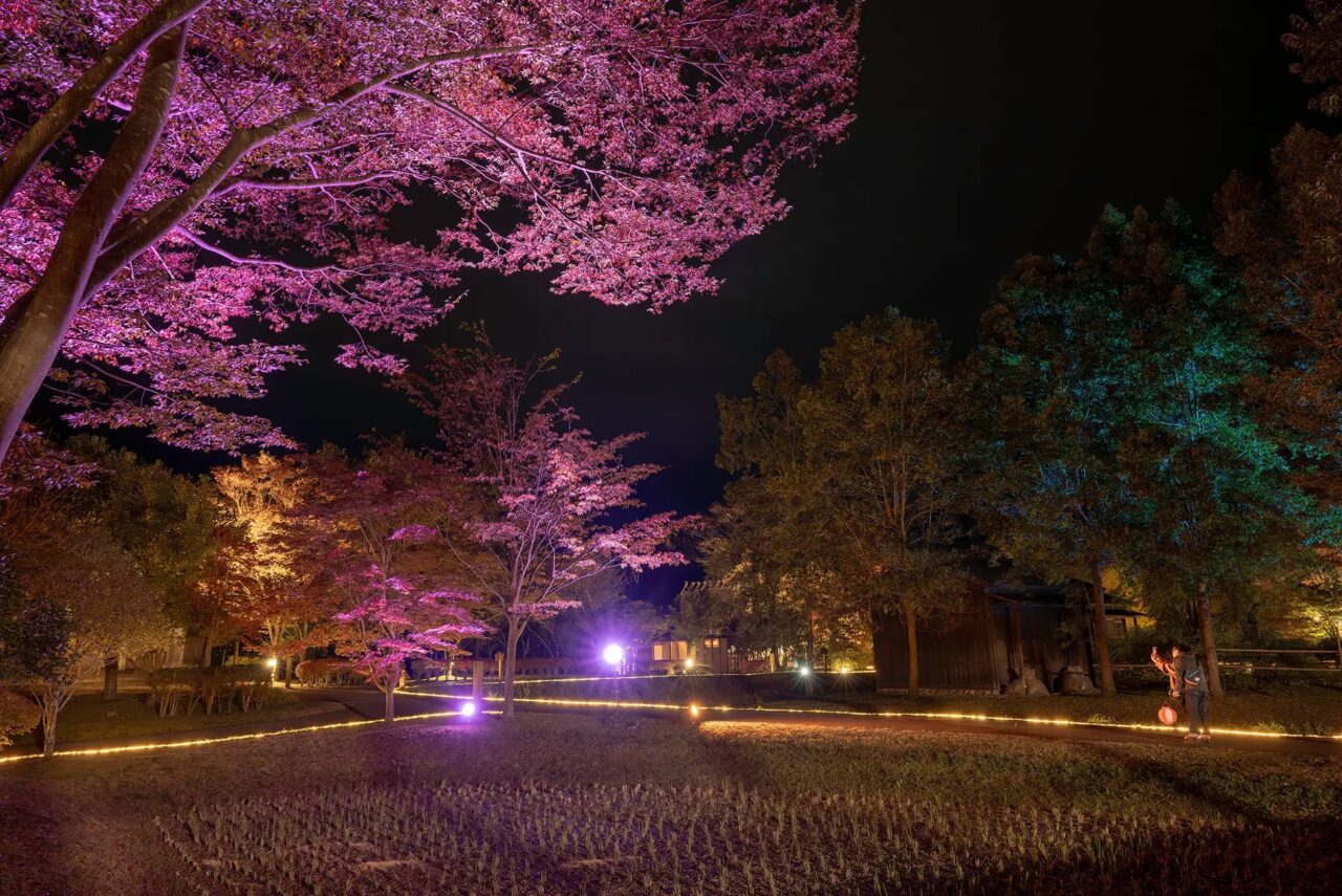 みちのくふるさと秋灯り 2025