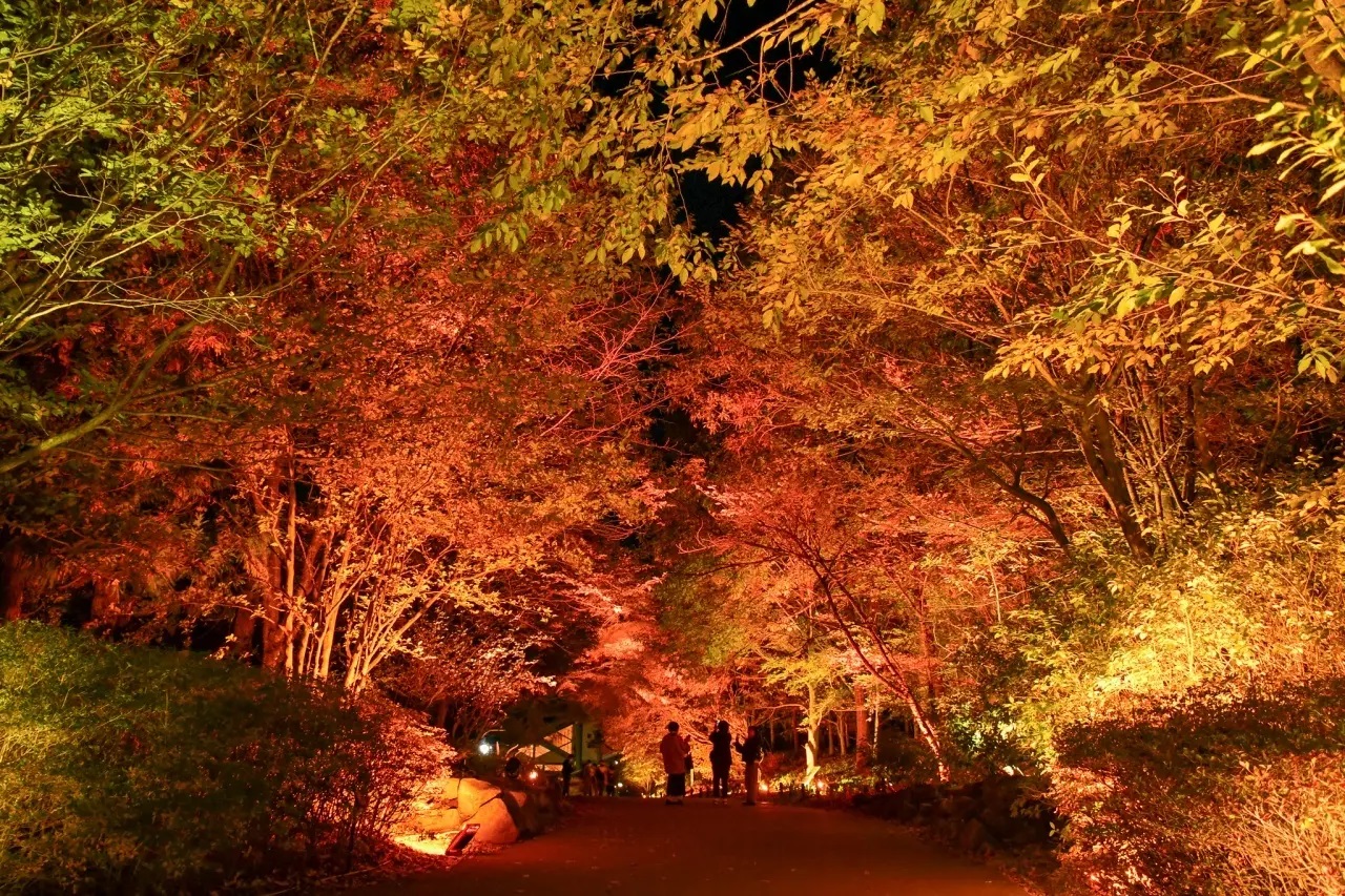 みちのくふるさと秋灯り 2025