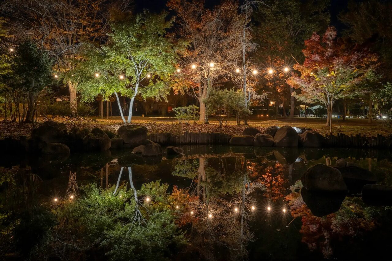 みちのくふるさと秋灯り 2025