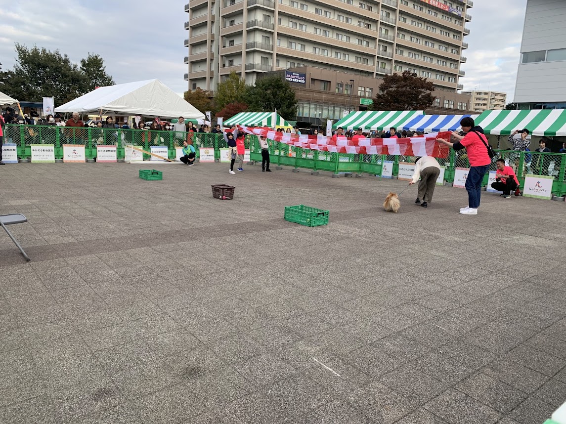 どうぶつフェスタ2024