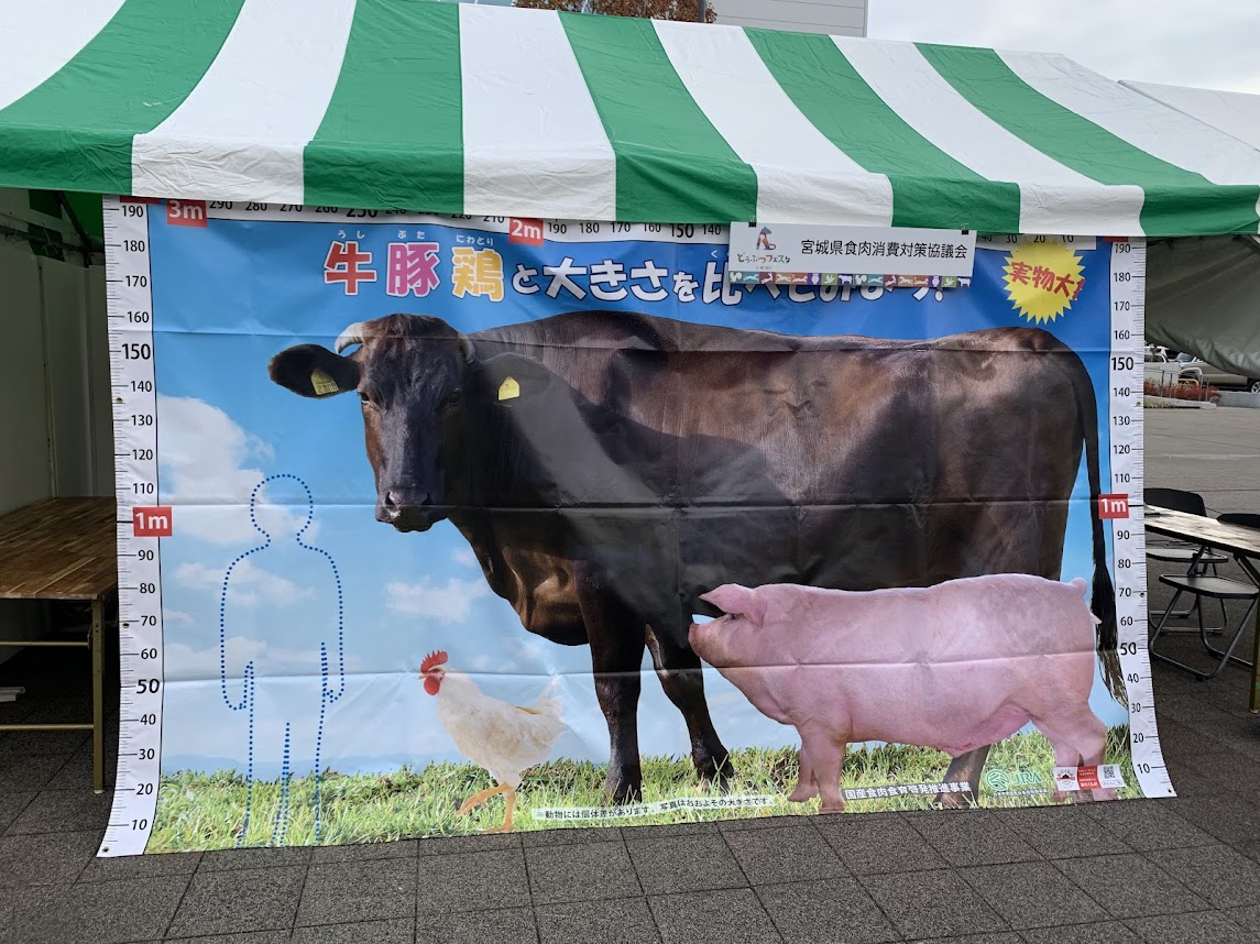 どうぶつフェスタ2024