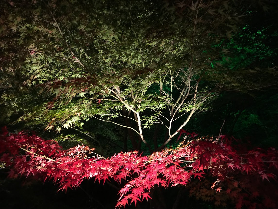 松島・国宝 瑞巌寺