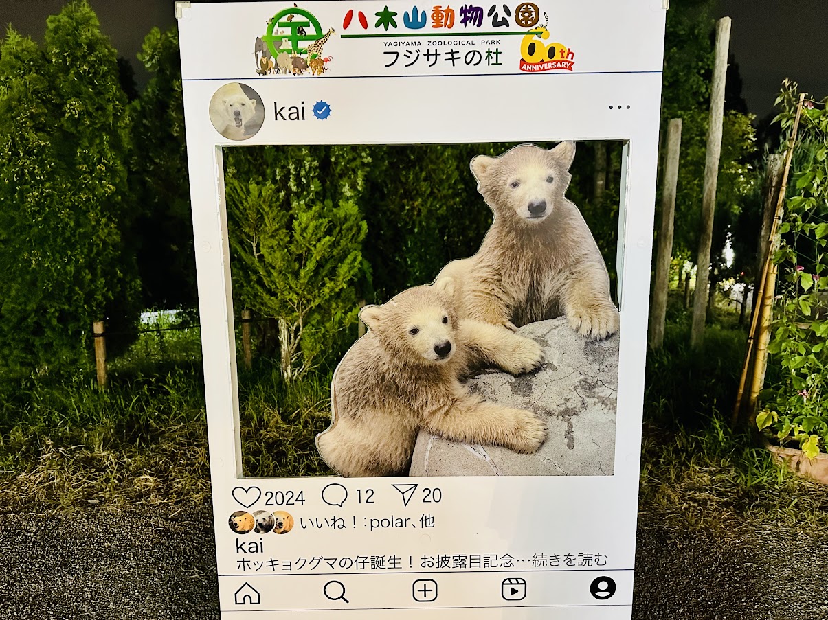 双子のホッキョクグマ　フォトスポット