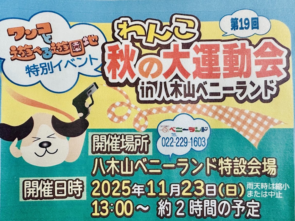 わんこ秋の大運動会