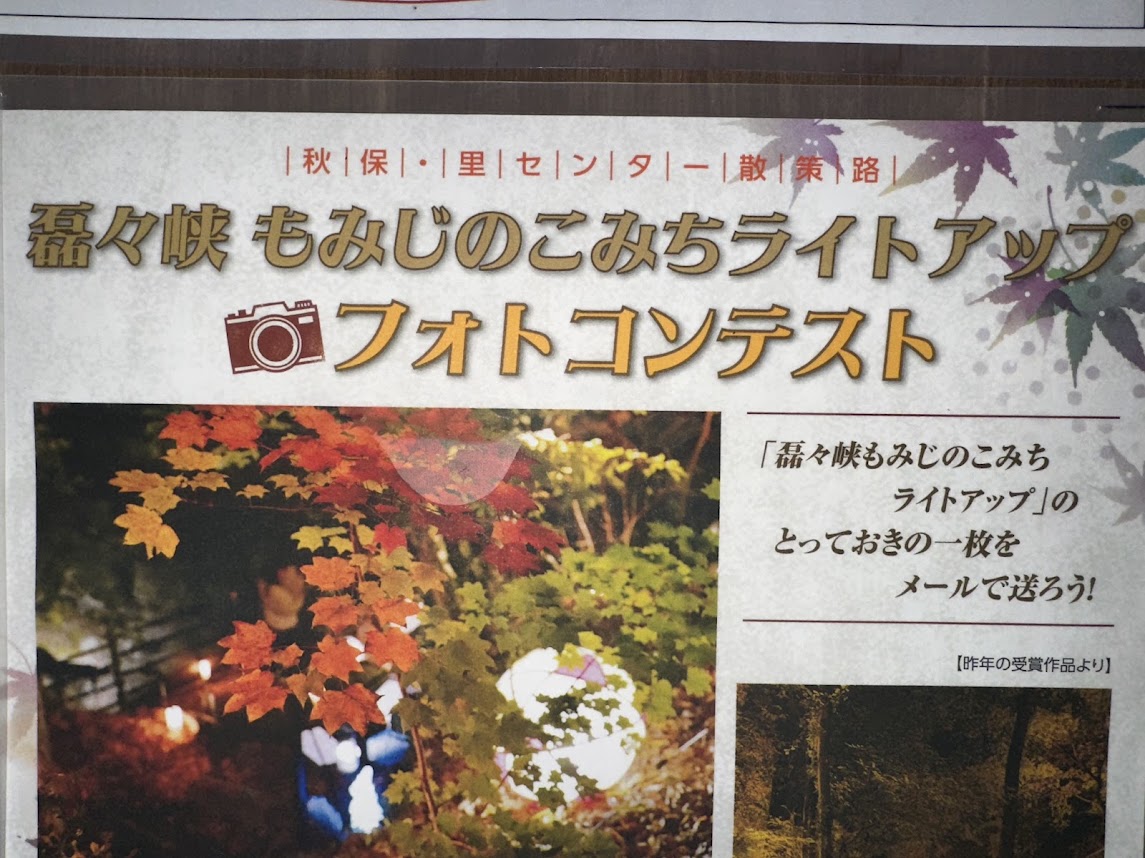 もみじのこみちライトアップ　フォトコンテスト