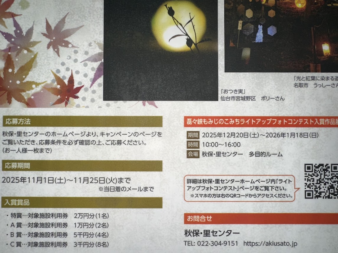 もみじのこみちライトアップ　フォトコンテスト
