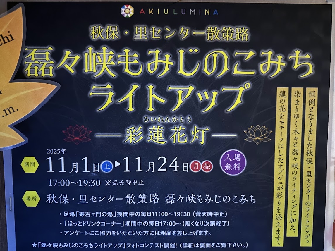 もみじのこみちライトアップ