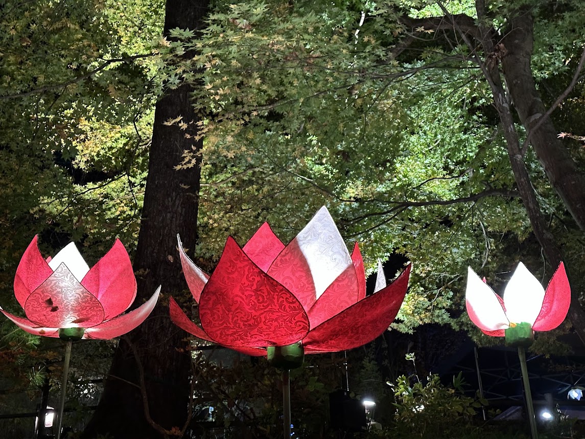 もみじのこみちライトアップ