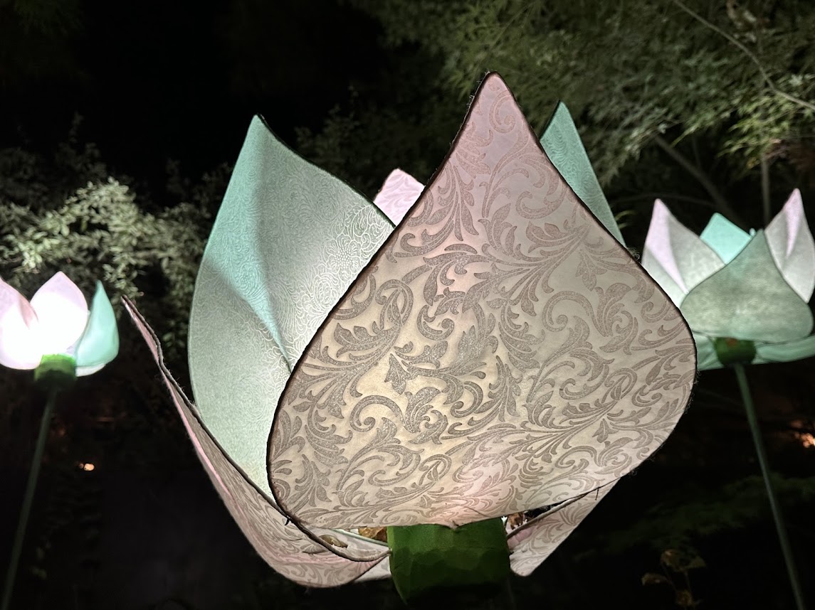 もみじのこみちライトアップ