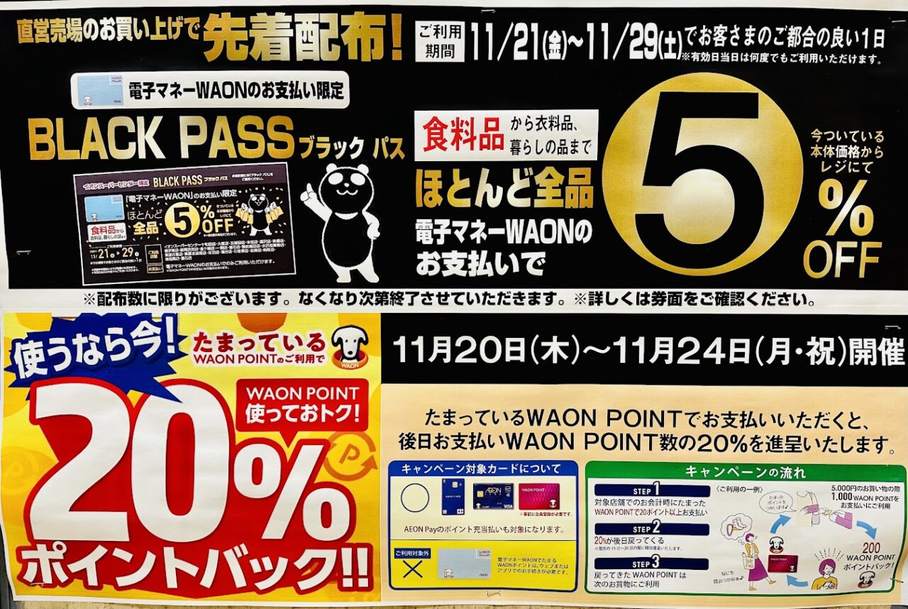 イオンブラックフライデー