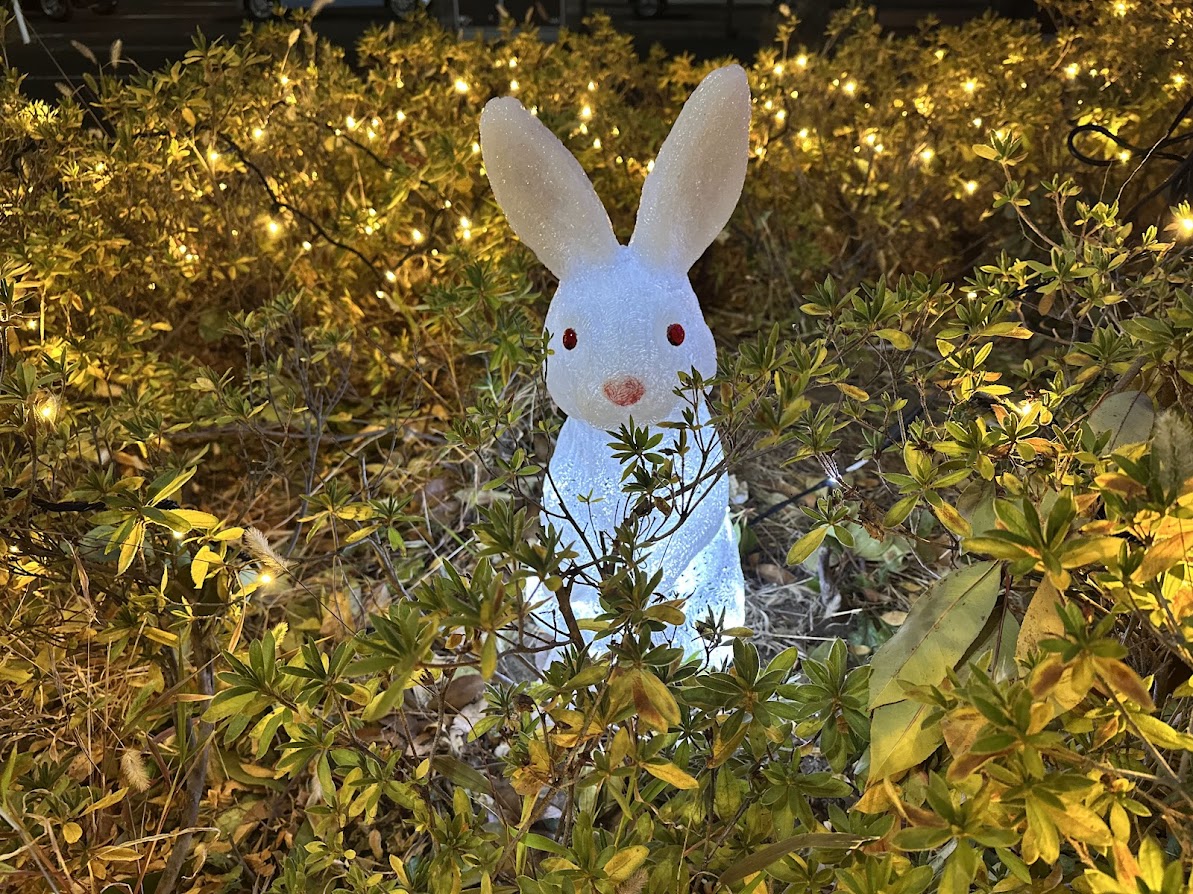 長町イルミネーション2025