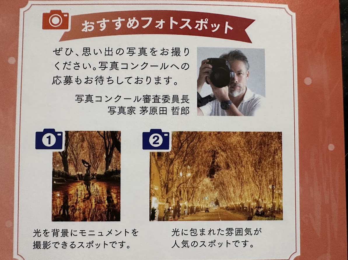 SENDAI光のページェント2025