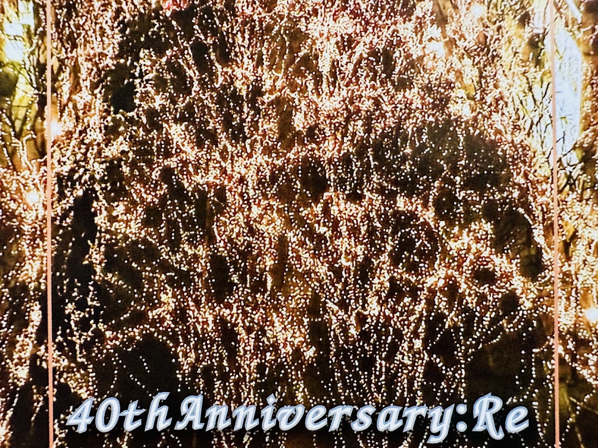 SENDAI光のページェント2025