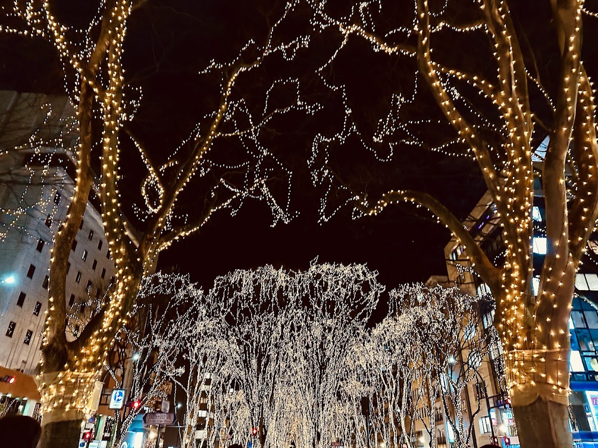 SENDAI光のページェント2025