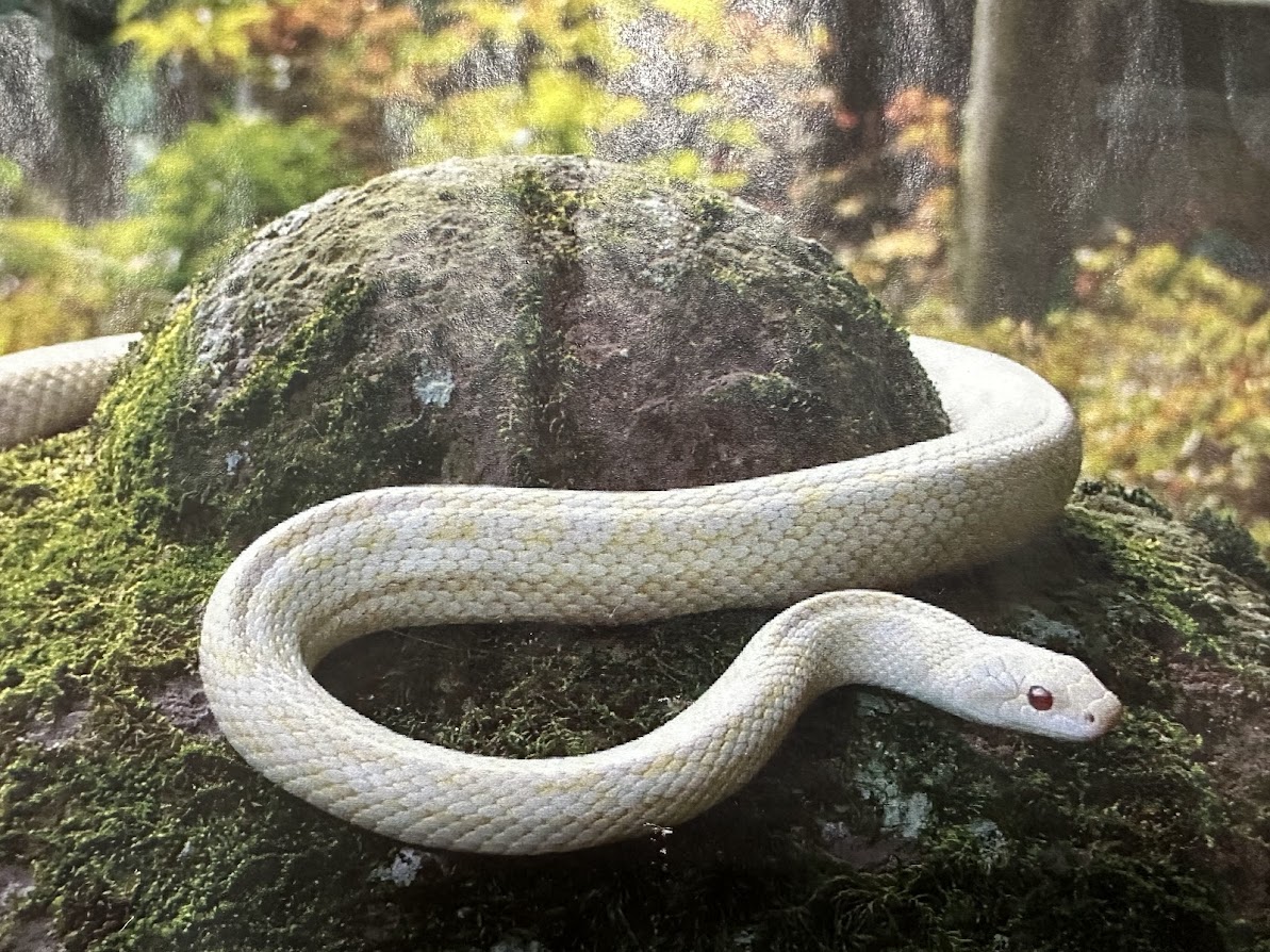 八木山動物公園