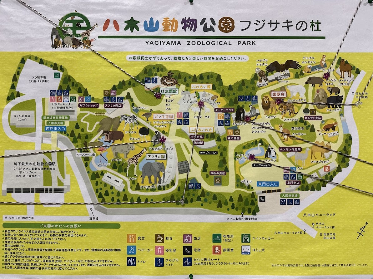 八木山動物公園フジサキの杜