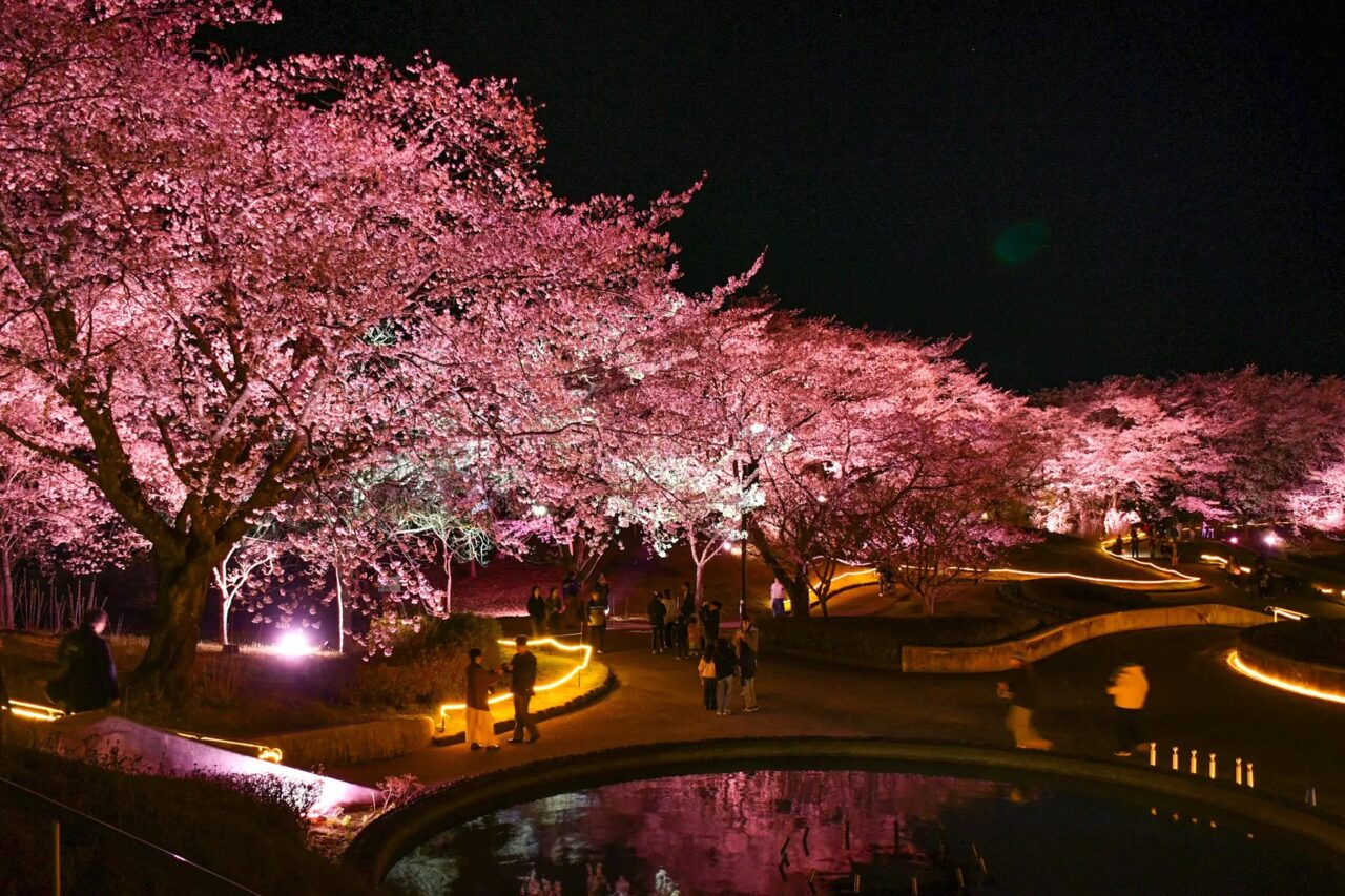 みちのく花明かり
