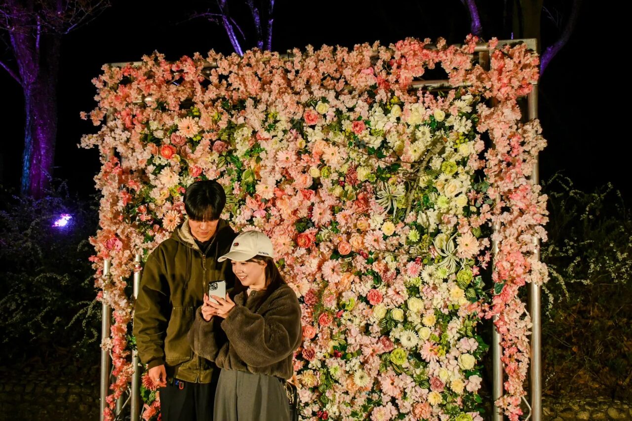 みちのく花明かり