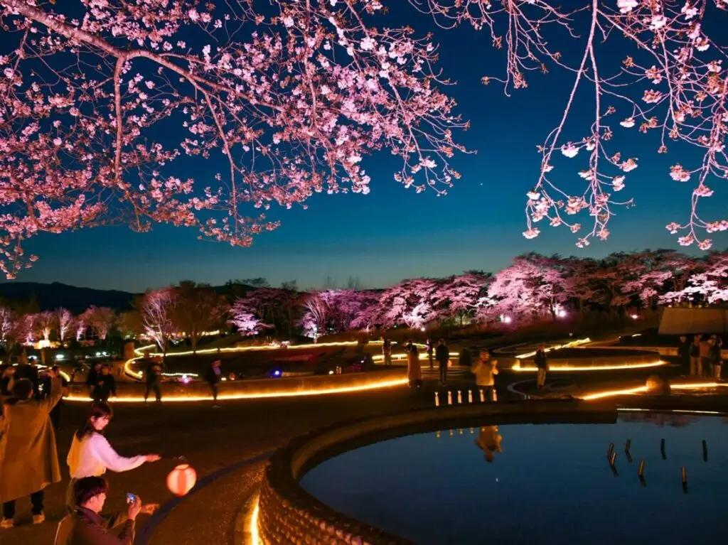 みちのく花明かり